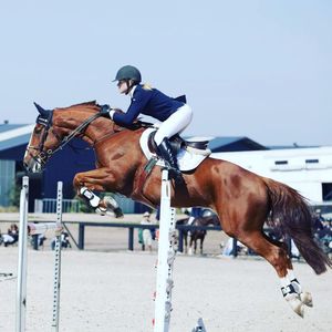 Image post by @snaffle_it on Instagram