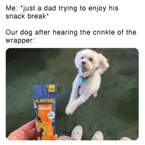 Image post by @mrpeanutofficial on Instagram