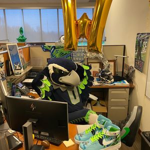 Image post by @blitztheseahawk on Instagram
