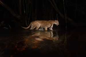 Image post by @natgeo on Instagram