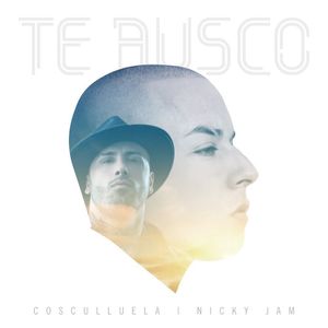Image post by @nickyjam on Instagram