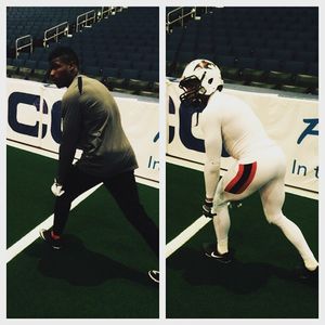 Image post by @jaxsharks on Instagram