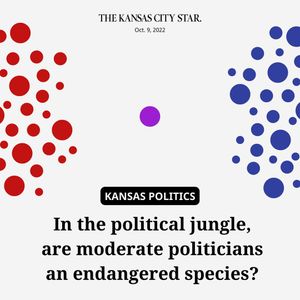 Image post by @thekansascitystar on Instagram