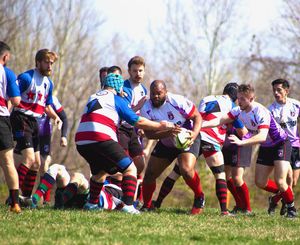 Image post by @scandalsrfc on Instagram