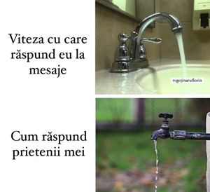 Image post by @rogojinaruflorin on Instagram