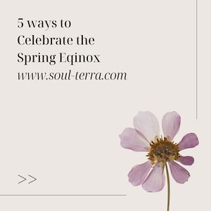 Image post by @soulterra on Instagram