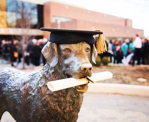 Image post by @umbclife on Instagram
