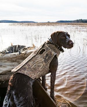 Image post by @themainemag on Instagram
