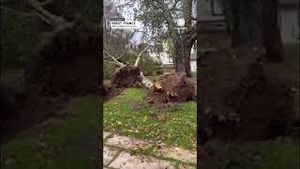 Video post by @accuweather on YouTube