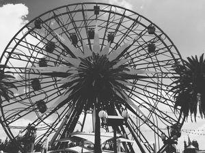 Image post by @glenroy on Instagram