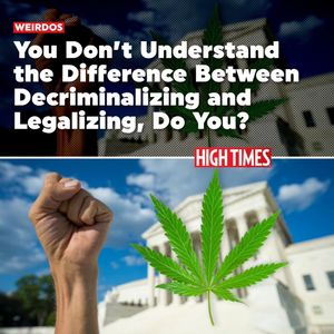 Image post by @hightimesmagazine on Instagram