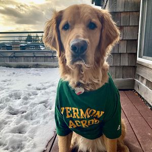 Image post by @uvmathletics on Instagram