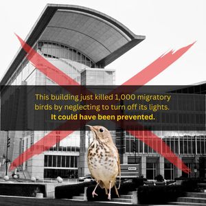 Image post by @centerforbiodiv on Instagram