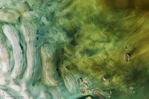 Image post by @nasa on Instagram
