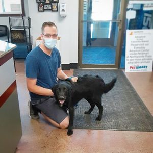 Image post by @spokhumanesoc on Instagram