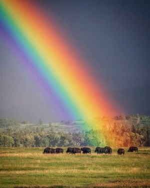 Image post by @nationalparkscollective on Instagram