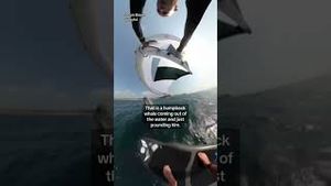 Video post by @cbsmornings on YouTube