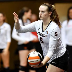 Image post by @beavervball on Instagram