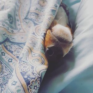 Image post by @hollysmee on Instagram