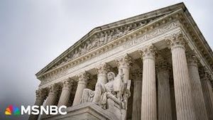 Video post by @msnbc on YouTube