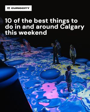Image post by @curiocitycalgary on Instagram