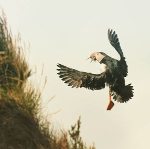 Image post by @mmhammond on Instagram