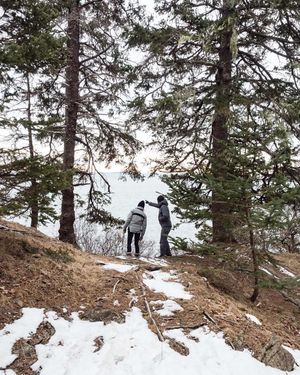 Image post by @themainemag on Instagram