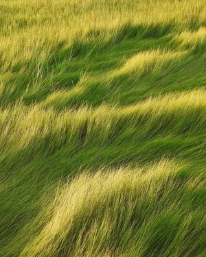 Image post by @vsco on Instagram