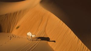 Image post by @natgeo on Instagram