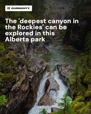 Image post by @curiocitycalgary on Instagram