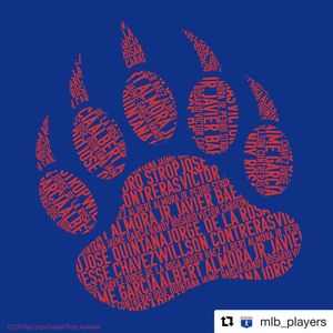 Image post by @cubs on Instagram