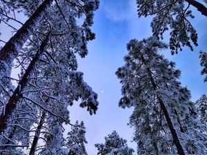 Image post by @nauflagstaff on Instagram