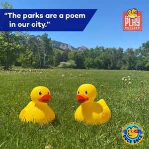 Image post by @playboulder on Instagram