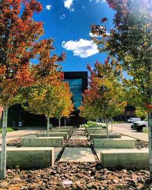 Image post by @nauflagstaff on Instagram