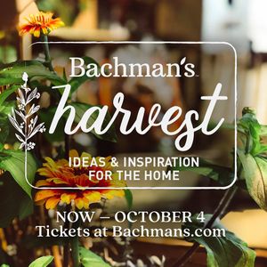 Image post by @shopbachmans on Instagram