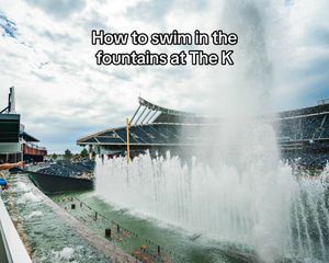 Image post by @royals on TikTok