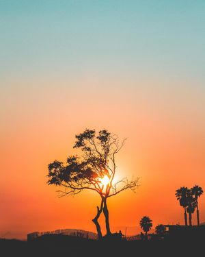 Image post by @7dreamvisuals on Instagram