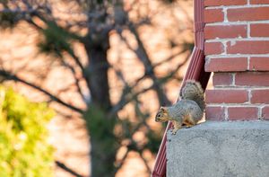 Image post by @wsupullman on Instagram