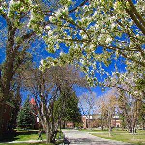Image post by @nauflagstaff on Instagram