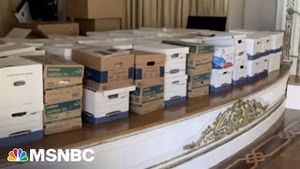 Video post by @msnbc on YouTube