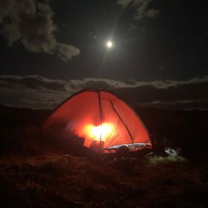 Image post by @carolinedame on Instagram