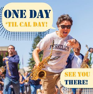 Image post by @calband on Instagram
