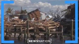 Video post by @newsnation on YouTube