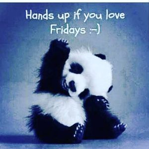 Image post by @concordeworldwide on Instagram