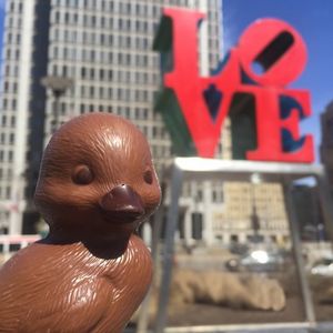 Image post by @lepainquotidienus on Instagram