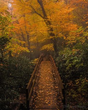 Image post by @nationalparkspartnership on Instagram