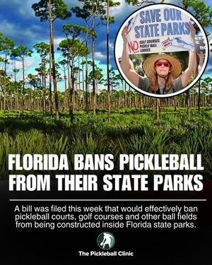Image post by @thepickleballclinic on Instagram