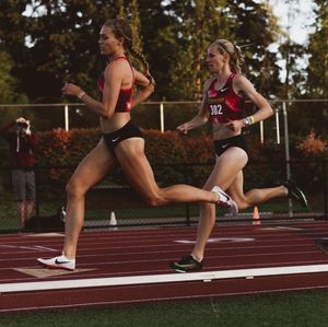 Image post by @steeple_squigs on Instagram