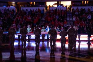 Image post by @isuredbirds on Instagram