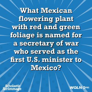 Image post by @wqlnpbsnpr on Instagram